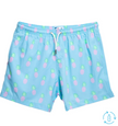 Bermies | Assorted Men’s Swim Trunks
