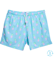 Bermies | Assorted Men’s Swim Trunks