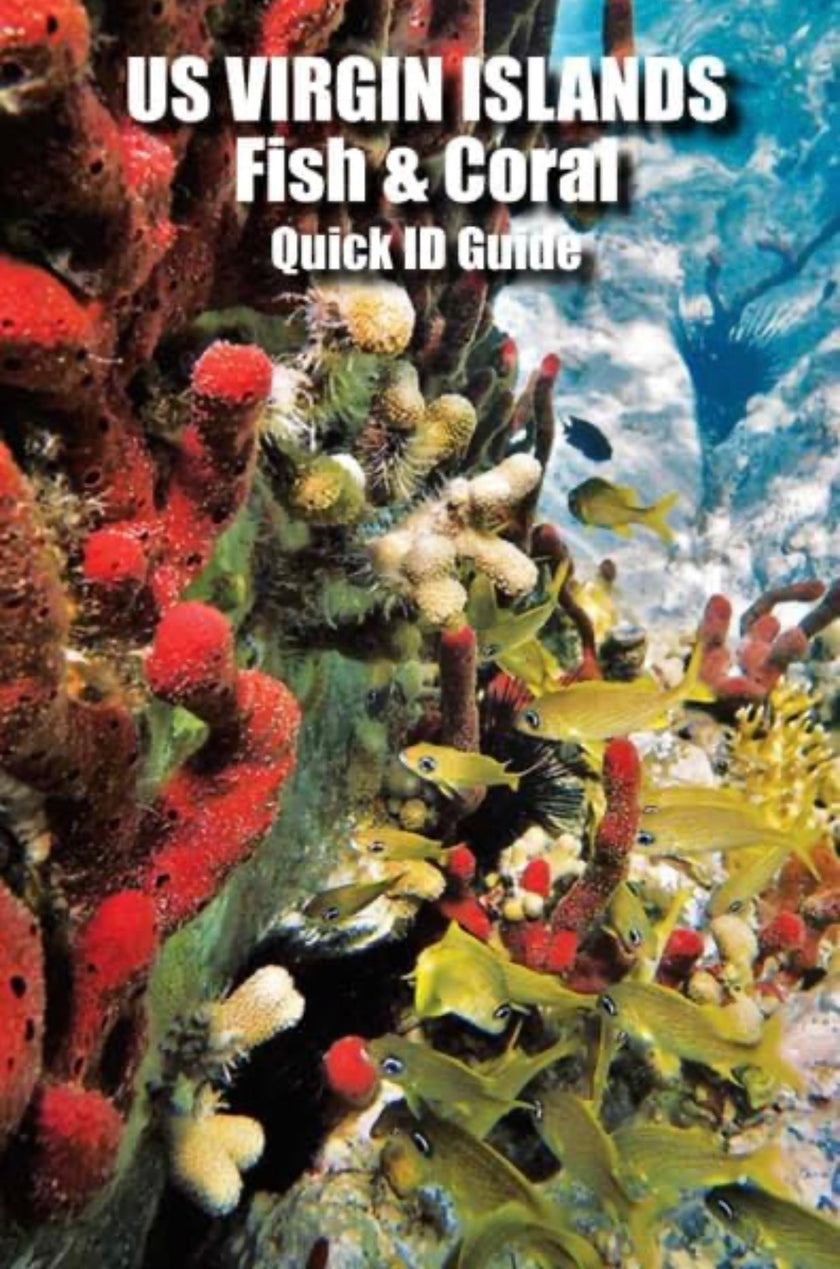 St John USVI Fish & Coral Quick ID Guide