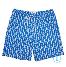 Bermies | Assorted Men’s Swim Trunks