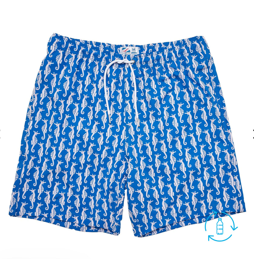 Bermies | Assorted Men’s Swim Trunks