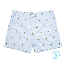 Bermies | Assorted Men’s Swim Trunks