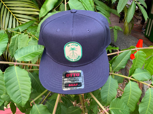 Lulee | STJ Palm Patch Snapback Hat